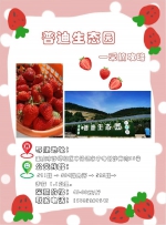 走摘草莓！公交直达，重庆最火摘草莓基地都在这里了 - 重庆晨网