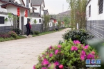 （环境）（3）重庆渝北：整治人居环境 建设美好家园 - 新华网