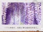 一叠“春日寄语明信片”带你游遍重庆山水田园 - 重庆晨网