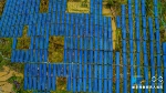 航拍丨黔江30多万块光伏电池板镶嵌出一片片“致富田” - 重庆晨网