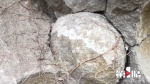 稀奇！石头里面长“石蛋” - 重庆晨网