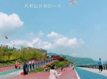 全免费，重庆主城最适合放风筝的地方都在这里！ - 重庆晨网