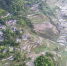 蓄满溪水的梯田，层层叠叠，宛若画卷。（摄影：冉川） - 重庆晨网