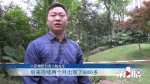 消防水表“长了腿”？ 物管天天拍照打卡 - 重庆晨网