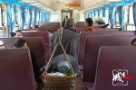 ​慢火车的“春天” - 重庆晨网