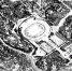 1967年卫星拍摄的重庆 你能认出哪些地方？ - 重庆晨网