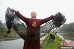 图为村民捕捉生态小龙虾。潼南区委宣传部供图 - 重庆晨网