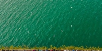 到昆明越冬的红嘴鸥都为之停留 万州25公里滨江环线集体升级 - 重庆晨网