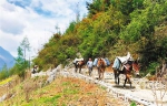 决战决胜脱贫攻坚丨打造三条“路” 城口红军村蝶变旅游村 - 重庆晨网