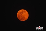 重庆的超级月亮太美了！这是2020年最后一次啦！ - 重庆晨网