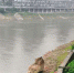 重庆嘉陵江边有块像帽儿的巨石，你知道其中隐藏的故事吗？ - 重庆晨网
