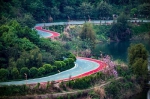 重庆这个小山村里，居然藏了一片童话般的热带雨林！ - 重庆晨网