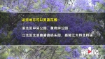 重庆这份紫色浪漫，你值得拥有！ - 重庆晨网