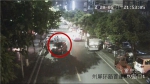女子停车离开10秒钟 轿车 “自行”倒车撞上行道树 - 重庆晨网