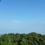 藏在巴南深山的云上茶山，被称为重庆版的斯里兰卡 - 重庆晨网