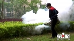重庆九部门：预防登革热 灭蚊子 灭老鼠 灭蟑螂 - 重庆晨网