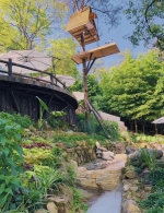 藏在重庆南山的奇妙花园，误入宫崎骏的漫画，在沉睡森林苏醒 - 重庆晨网