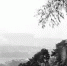 重庆人没见过的40年代老照片：观音岩在卖彩票 黄桷垭在爬古道 - 重庆晨网