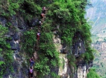 重庆最“险峻”古寨，四面悬崖进寨靠攀登，当初令人望而却步 - 重庆晨网