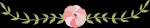 花团锦簇的绣球花 重庆是原产地之一 - 重庆晨网