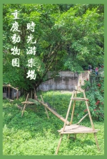 重庆几代人的童年 都藏在这座园子里了 - 重庆晨网