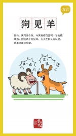 “好吃狗”“跟脚狗儿”……原来重庆有这么多汪星人 - 重庆晨网