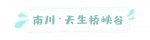 野水池来报到！超冰爽很清凉，99%重庆人都不知道 - 重庆晨网