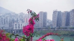 重庆3区县入选全国县城新型城镇化建设示范名单 - 重庆晨网