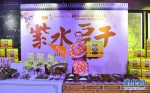 （经济）（7）重庆大型文旅推介“双晒”活动正式启动 - 新华网