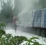 大货车拉纸板 高速路上自燃 - 重庆晨网
