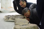 重庆云阳世界级恐龙化石群又有新发现 或填补演化序列空白 - 重庆晨网