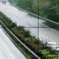 险！雨天路滑，小车高速路上S形“走位” - 重庆晨网