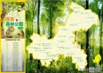 这些重庆超美的森林公园，不输五星景区，却少有人来 - 重庆晨网