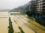 綦河已超警戒水位 綦江发生小型山体滑坡 多个街道道路积水汽车被淹 - 重庆晨网