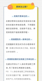 明星也交社保！社保断缴影响多，这些你要知道 - 重庆晨网