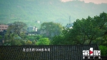 重庆特产传说（207） | “东方奶酪”—— 东溪豆腐乳 - 重庆晨网