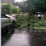 大雨中树枝掉落砸坏车辆 业主期盼排除安全隐患 - 重庆晨网