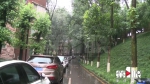 大雨中树枝掉落砸坏车辆 业主期盼排除安全隐患 - 重庆晨网