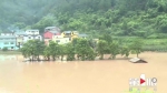 最大降雨量240.2mm 武隆鸭江镇整条街道被淹 - 重庆晨网