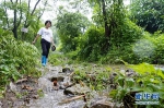（图片故事）（5）重庆永川：雨中逆行者 守护百姓安全的地质灾害监测员 - 重庆晨网