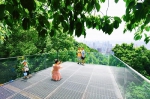 百年古道+空中森林，这个周末一起爬山 - 重庆晨网