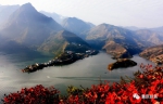 重庆巫山：让生态产业之花开遍宁河两岸 - 重庆晨网