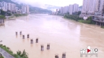 过去24小时 重庆市5区县遭遇暴雨 - 重庆晨网