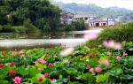 第二批全国乡村旅游重点村名单公示，重庆这20个村入围 - 重庆晨网