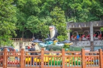开了60年的动物园，承包了重庆三代人的童年！ - 重庆晨网