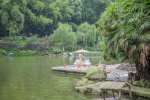开了60年的动物园，承包了重庆三代人的童年！ - 重庆晨网