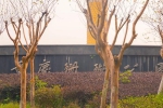 菜园坝有一个“宝藏公园” 藏着无数重庆人的青春回忆 - 重庆晨网