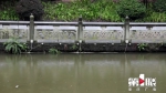 铜梁连续下雨 巴川河水上涨逼近河堤 - 重庆晨网