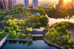 重庆公园之城隐藏的秘境 可以免费赏花、摘莲蓬、钓龙虾 - 重庆晨网