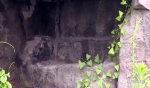 探秘！这个小孩逃避劳动的“避难所”，竟是永川最大汉代崖墓群 - 重庆晨网